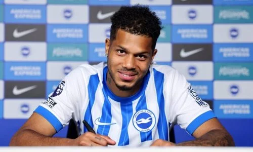 Diego Coppola Brighton Transfer