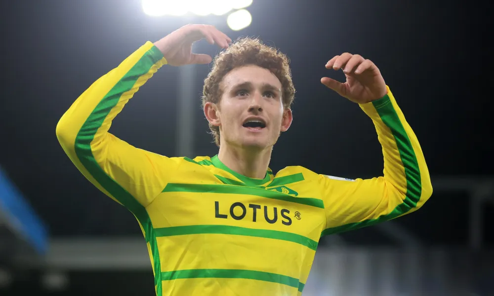 Josh Sargent transfer news